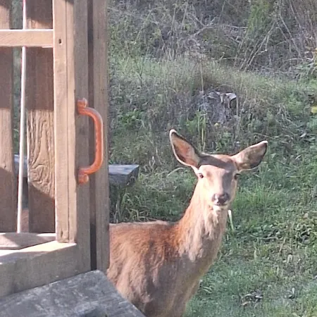 Turistická Chopok *