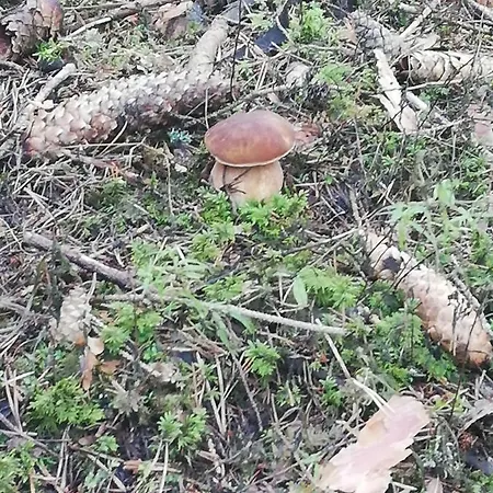Turisticka Chopok Demanovska Dolina