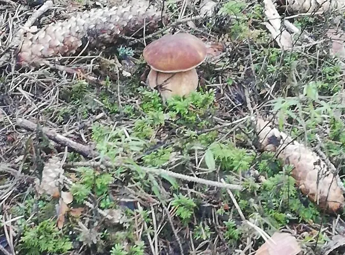 Turisticka Chopok Demanovska Dolina